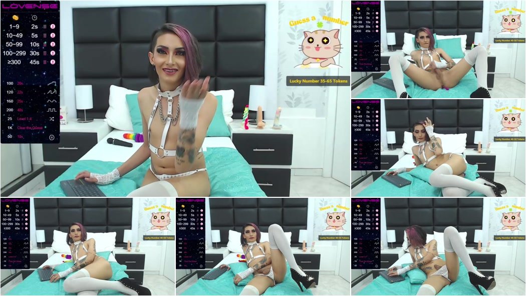 Trans Girl - Cam Show Various TGirls 24 Jan [HD 720p]